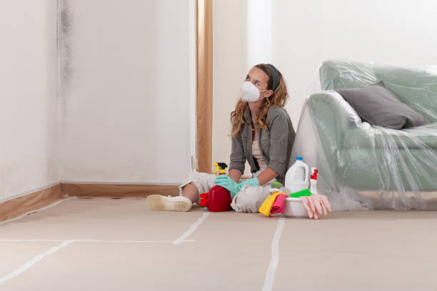 Reliable Mold Inspection And Testing contractor in Ferndale, MI by Car Mold Remediation